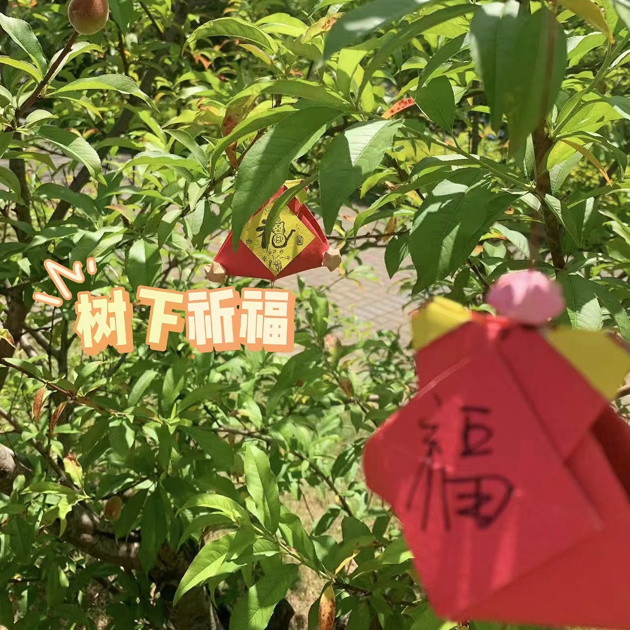 远景1.jpg