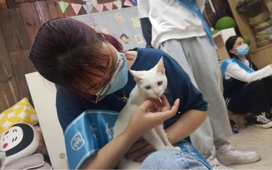 图四 国商系2020级国贸专业沈博照顾做完手术的猫咪.jpg