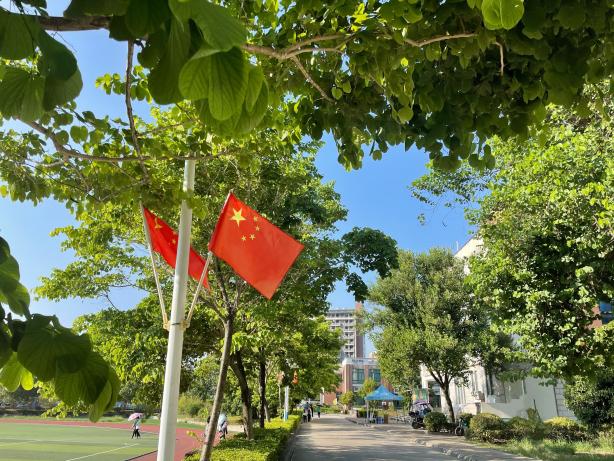 图片5.jpg
